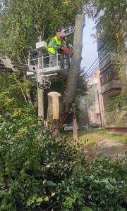 ����� ����������� ��������