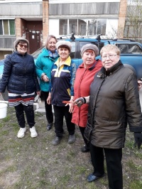 ТОС «Площадь Московская» украшает свои дворы ТОС «Площадь Московская» украшает свои дворы