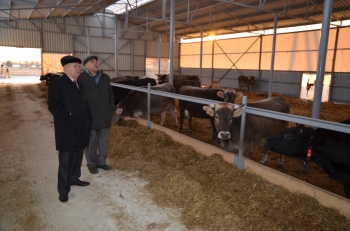 Посещение фермерского хозяйства в д. Ильинка Главой городского самоуправления